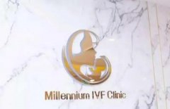 泰国千禧(Millennium)生殖医院